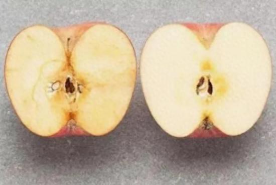 苹果削皮后怎样才能不变色？