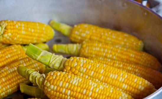 怎么判断玉米是否煮熟？观察颜色、检查外观、测试硬度