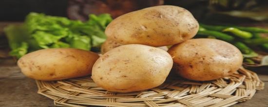 土豆放冰箱能保存多久？
