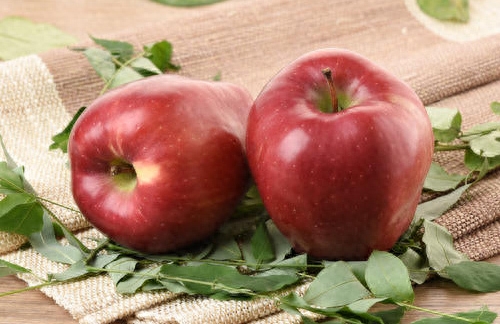 苹果的保鲜期是多长？