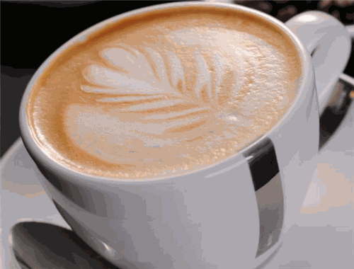 麦田咖啡2023年最新加盟条件及有哪些要求