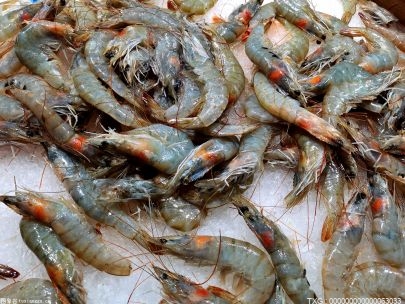 凤尾对虾是属于哪里的菜品