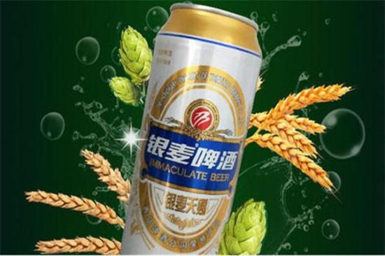 银麦啤酒加盟费多少钱？