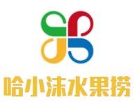 哈小沫酸奶水果捞加盟logo