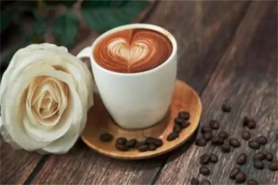 咖顿咖啡加盟产品图片