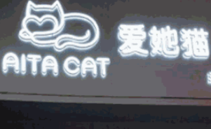 爱她猫现酵酸奶芝士茶加盟logo