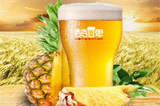 赞啤精酿啤酒加盟产品图片