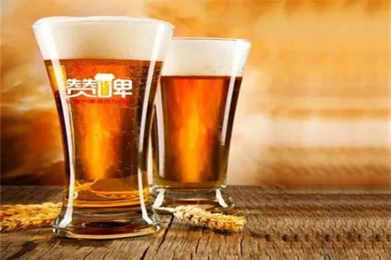 赞啤精酿啤酒加盟产品图片