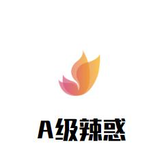 A级辣惑加盟logo