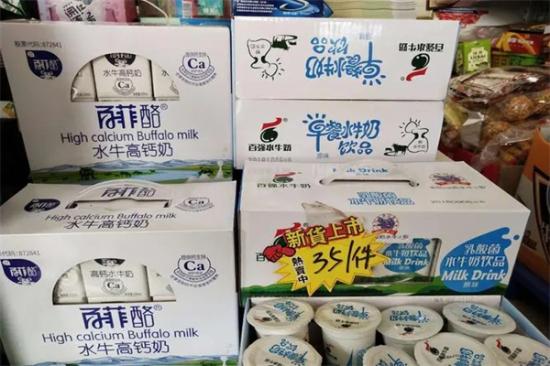 百强水牛奶加盟产品图片