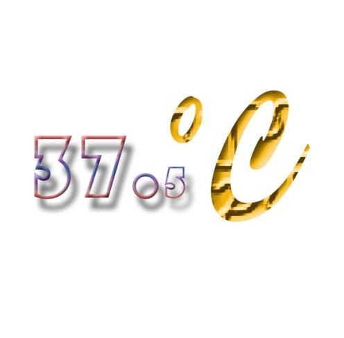 37.5度网红即食小海鲜加盟logo