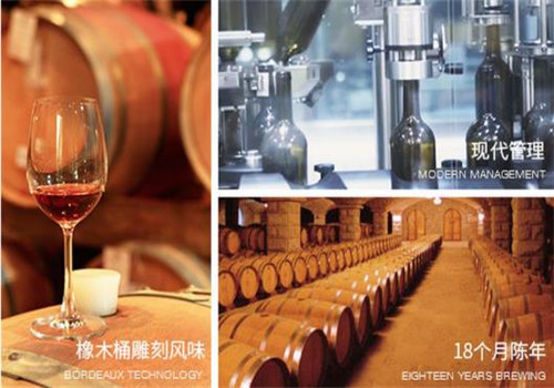 利辉红酒加盟产品图片