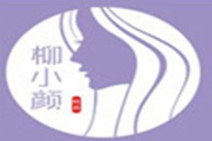 柳小颜炖汤加盟logo