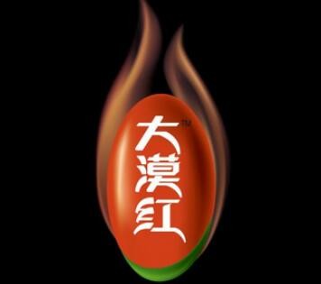 大漠红保健饮品加盟logo