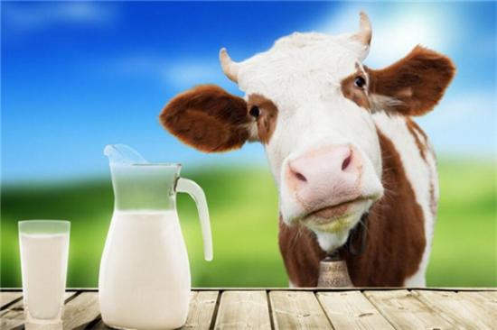 德瑞赛牛奶加盟产品图片