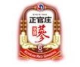 正官庄人参加盟logo