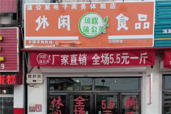 风吹蒲公英休闲食品加盟产品图片